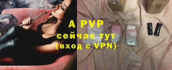 гашик Переславль-Залесский