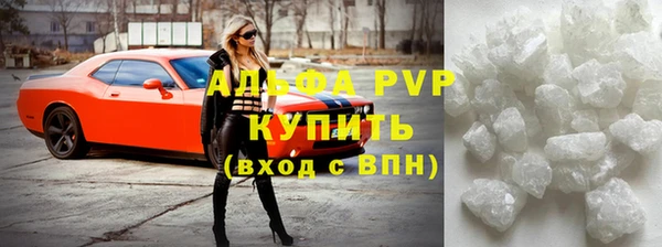 стафф Новокубанск