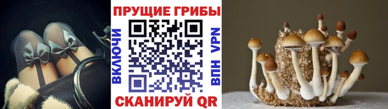 Псилоцибиновые грибы мухоморы  MEGA ссылка  Нариманов 
